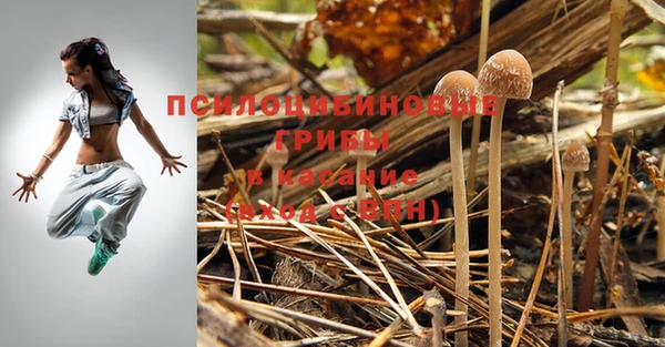 мет Горнозаводск