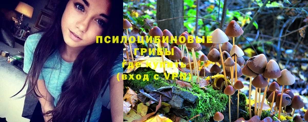 гашик Михайлов