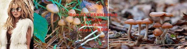 гашиш Усолье-Сибирское